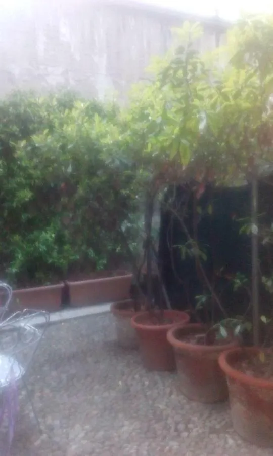 Central Apartment With Garden Milano