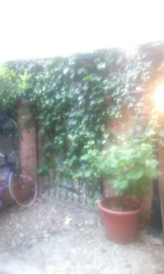 Central Apartment With Garden Milano Italien